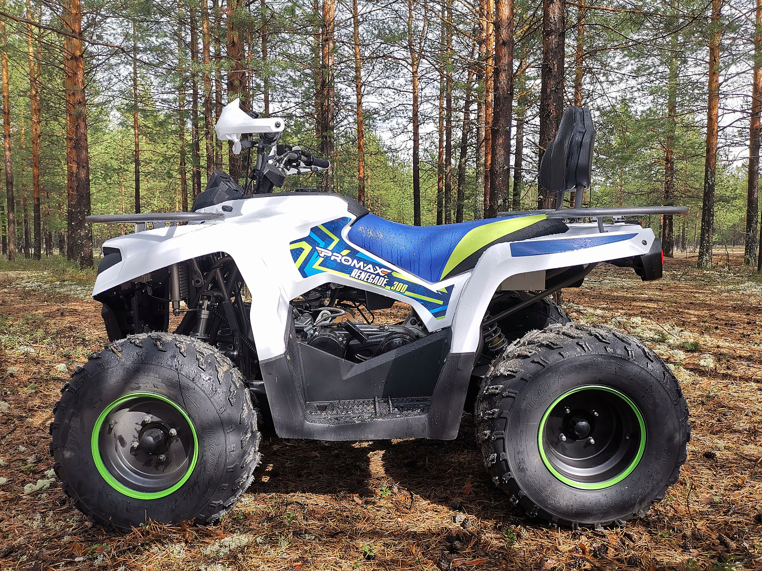 Квадроцикл PROMAX RENEGADE 280 (2025) в Сыктывкаре
