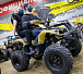 Квадроцикл PROMAX ATV 250 (2025) в Сыктывкаре