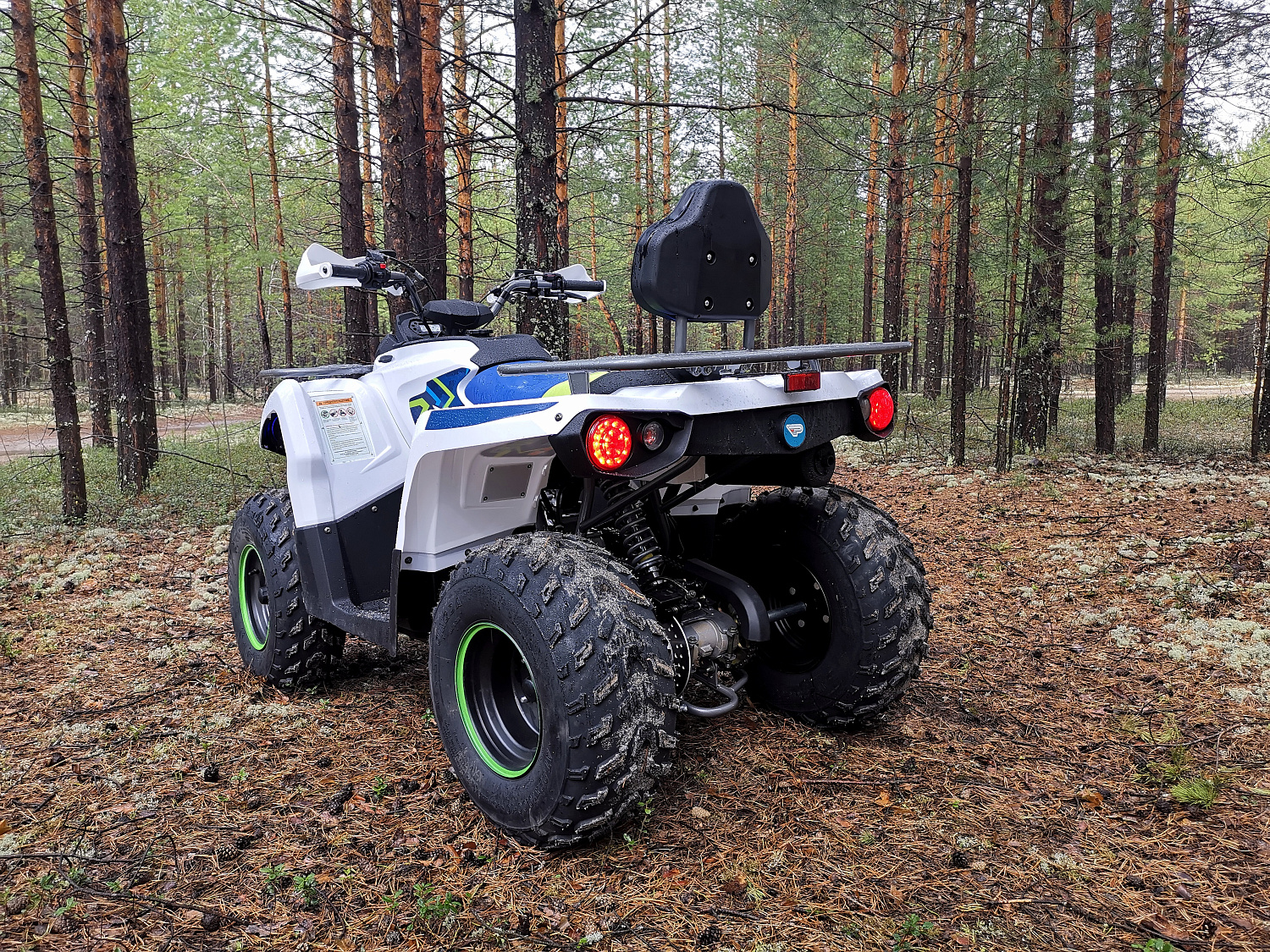 Квадроцикл PROMAX RENEGADE 280 (2025) в Сыктывкаре