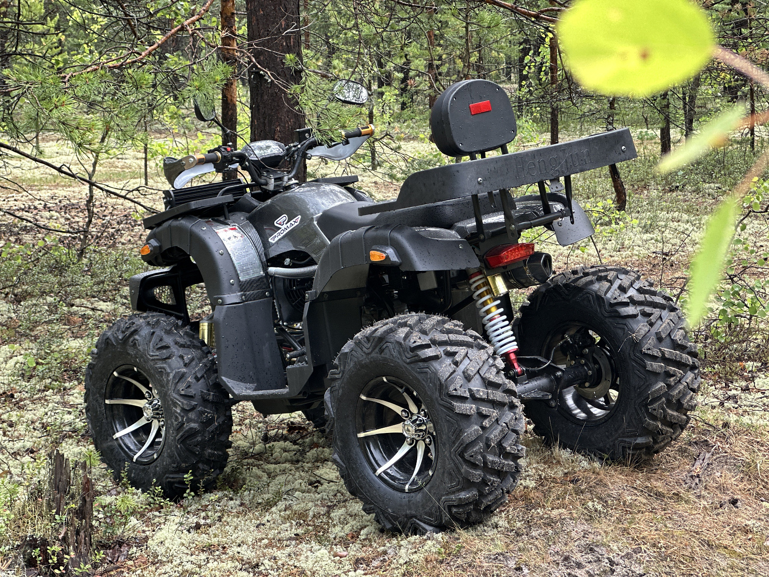 Квадроцикл PROMAX 320 DOMINATOR PRO (2025) в Сыктывкаре