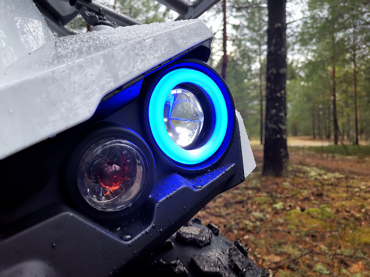 Квадроцикл PROMAX RENEGADE 280 (2025) в Сыктывкаре