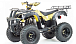 Квадроцикл MOTOLAND (МОТОЛЕНД) 250 ADVENTURE в Сыктывкаре