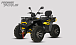 Квадроцикл PROMAX TAURUS 300 MAX-PRO LONG в Сыктывкаре